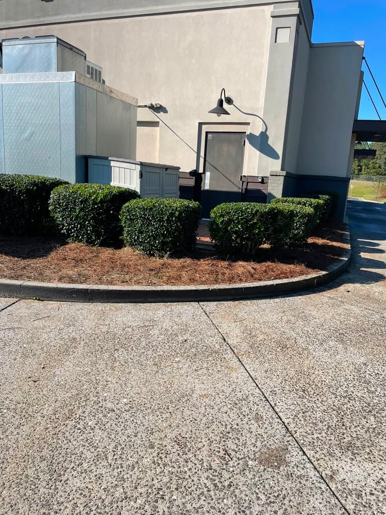 Professionally trimmed residential bushes